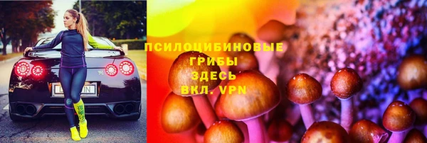 ECSTASY Богородицк