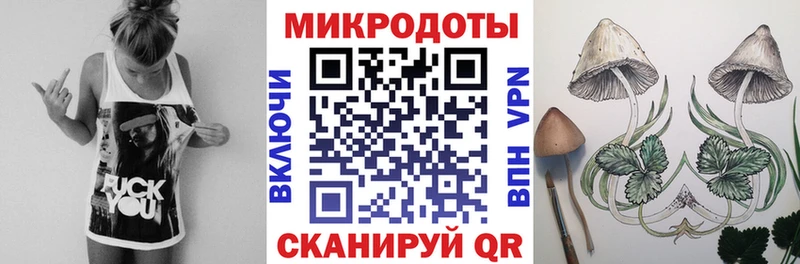 Галлюциногенные грибы Psilocybine cubensis  Ковылкино 